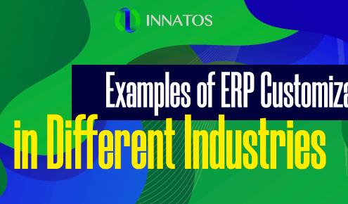Innatos - Examples of ERP customization - title